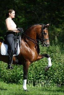 B_Rasche-P_R_E-07[1].jpg